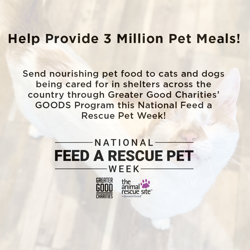 National Feed a Rescue Pet Week 2024 Is Coming, Lets Help!