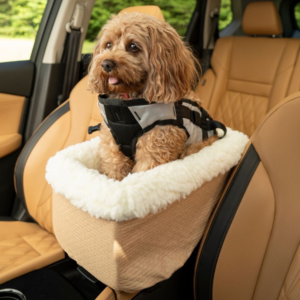 Console Pet Car Seat: Comfortable and Secure for Small Pets