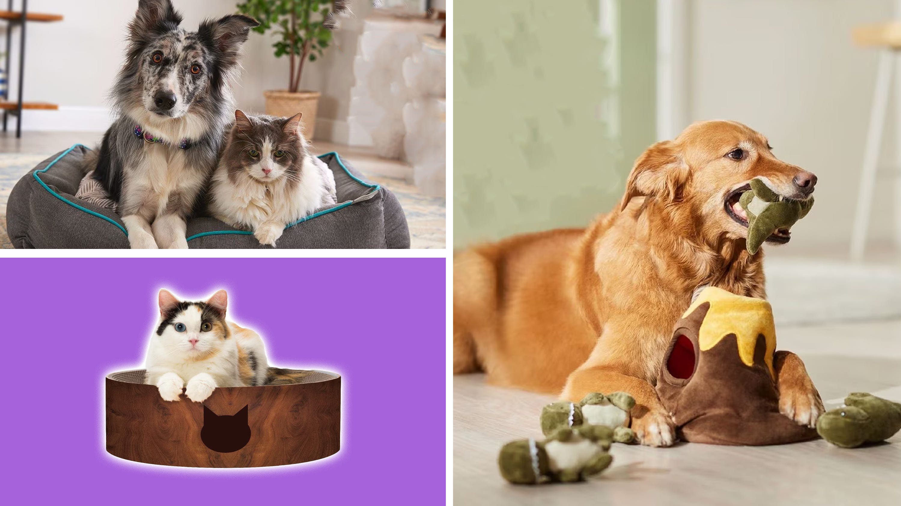 Find the Perfect Pet Toys for Christmas: Shop Our Holiday Guide