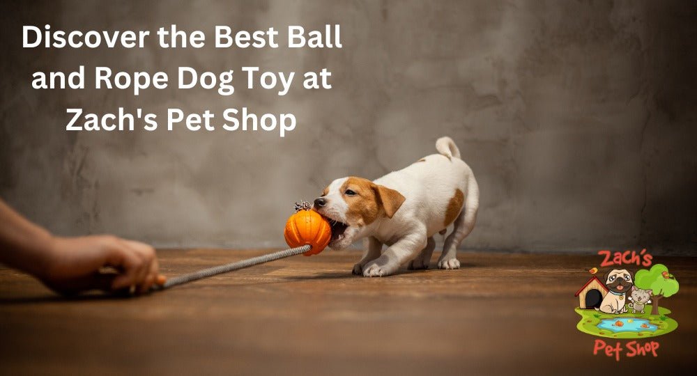 The Ultimate Guide to Choosing the Right Rope Ball Dog Toy