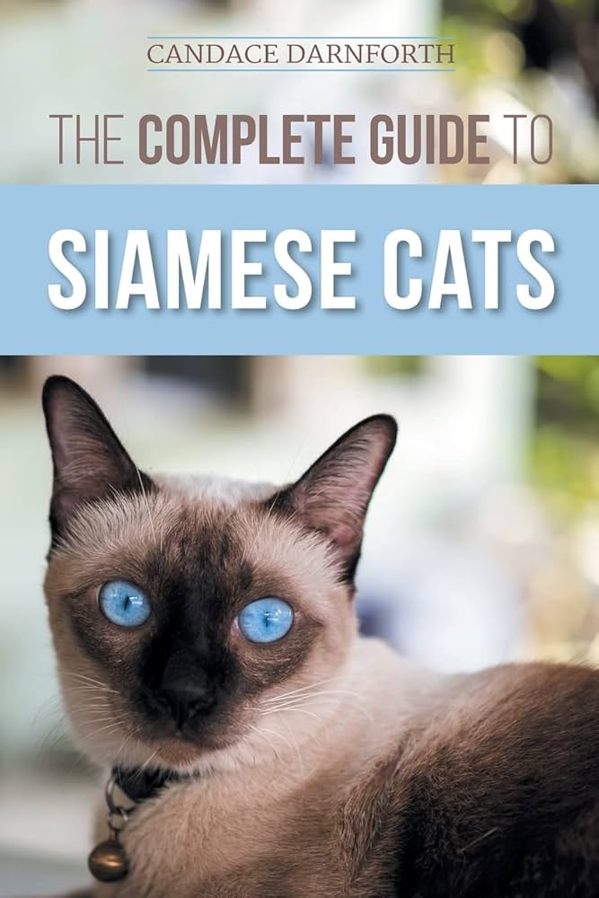 Best Books About Siamese Cats: Your Ultimate Reading Guide