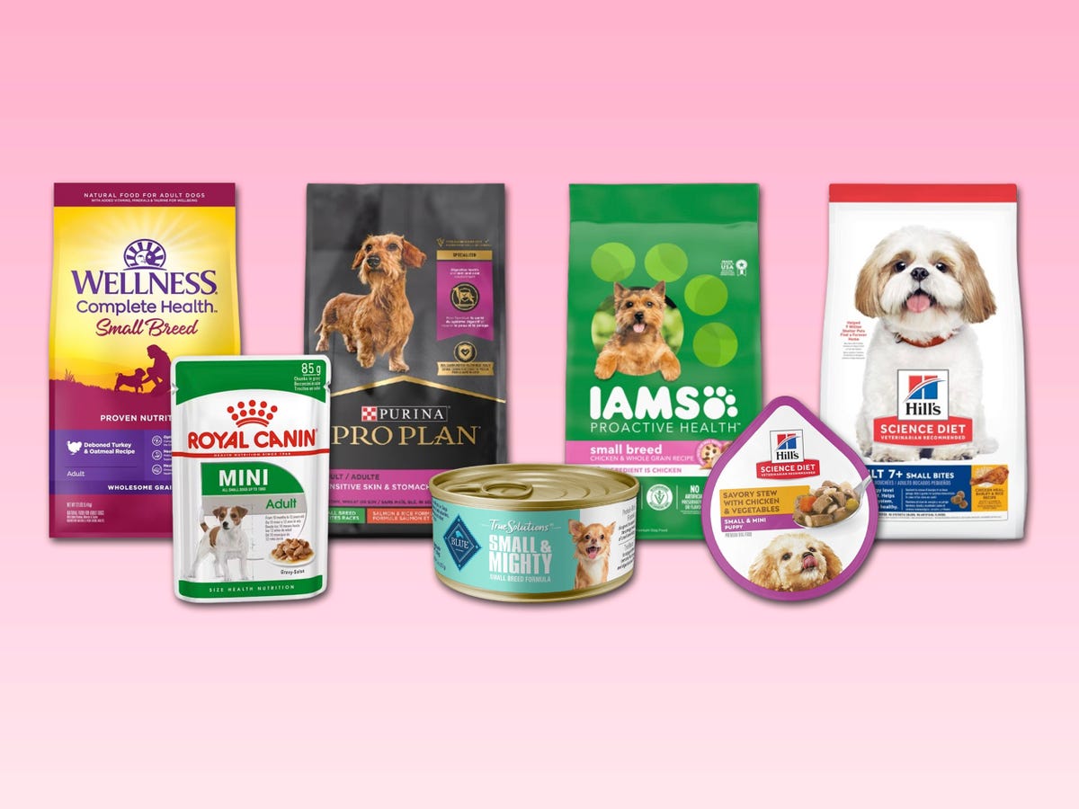 Is Small Chewy Dog Food Good for Dogs? Heres What You Need to Know