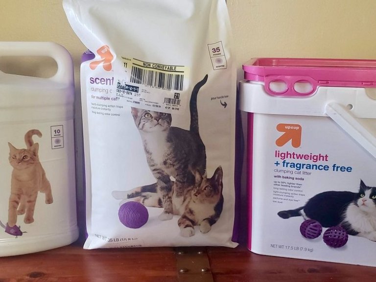 Unbiased Fresh Step Cat Litter Reviews: Clumping Power and Smell Test