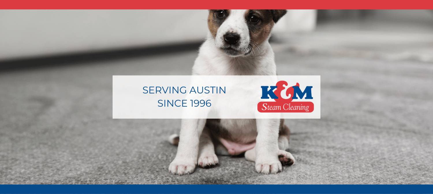 Professional Carpet Cleaning: The Ultimate Solution for Pet Odor Removal?