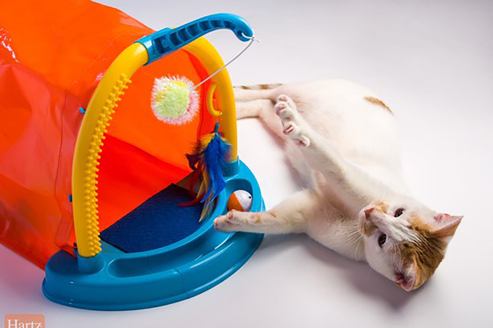 Spoil Your Kitty: Top Pet Cat Toys for Playtime Fun