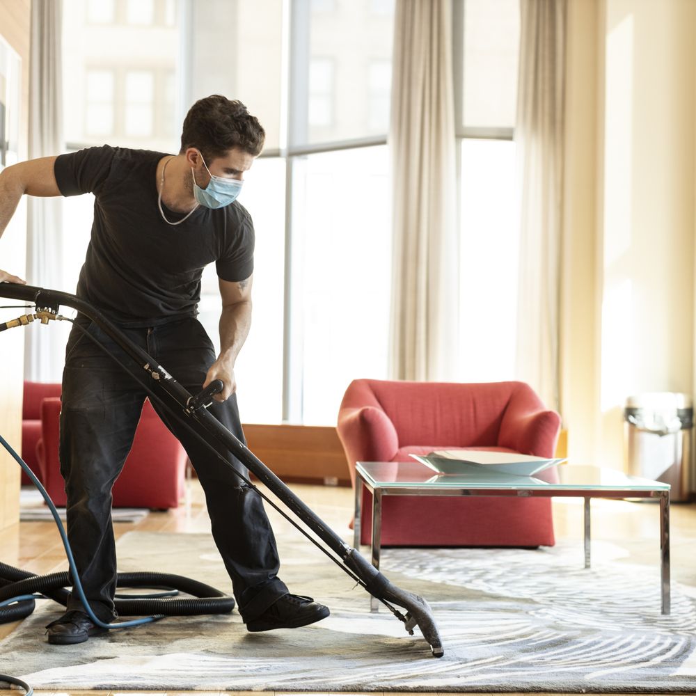 Best Carpet Cleaning Company for Pet Urine: Top Cleaning Service