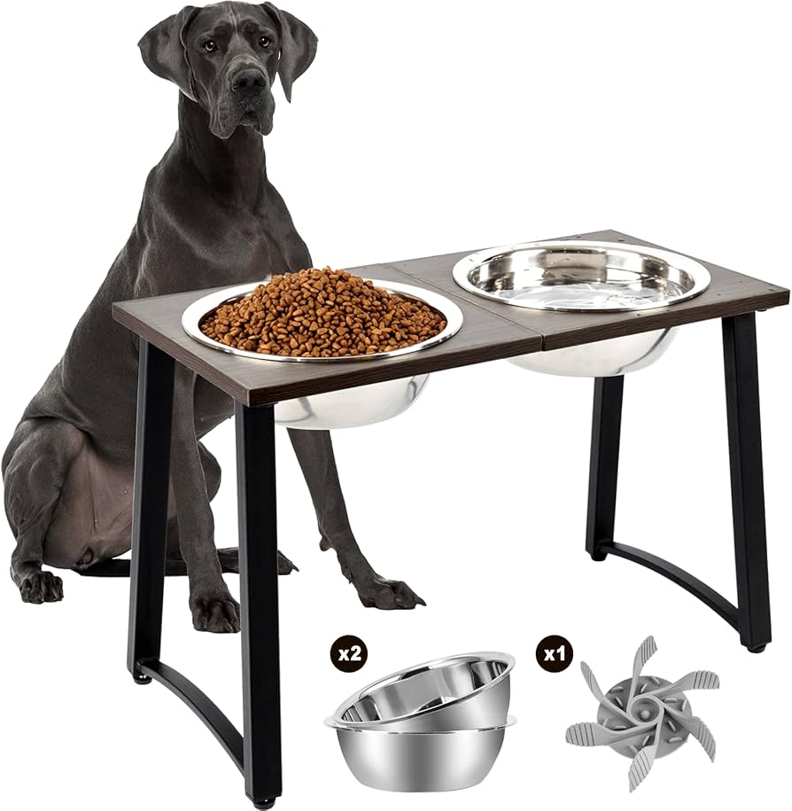 Pet Feeding Dishes: Bowls, Elevated Feeders, and More