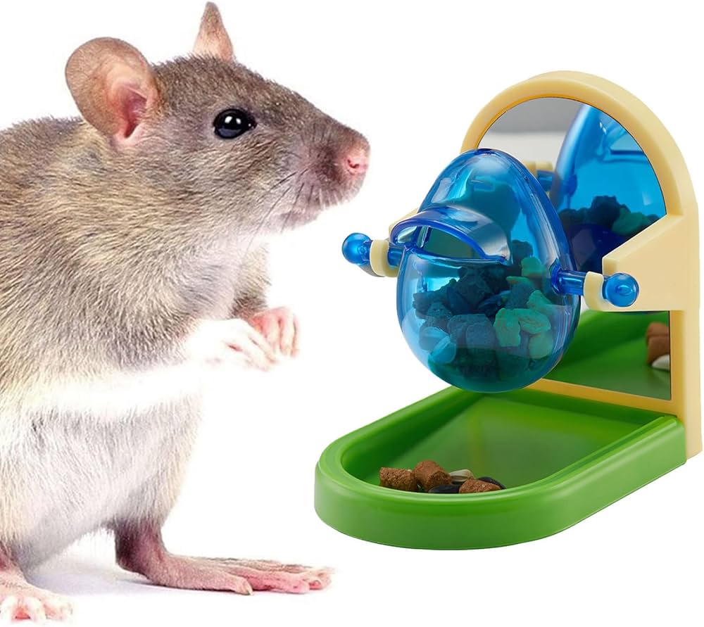 Shop Now for Durable and Affordable Rat Pet Toys