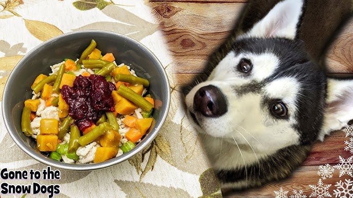Thanksgiving Feast for Dogs: Homemade Dog Food Recipes