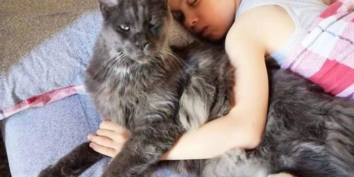 Looking for Maine Coon Kittens? Fur Paws Cattery is Here