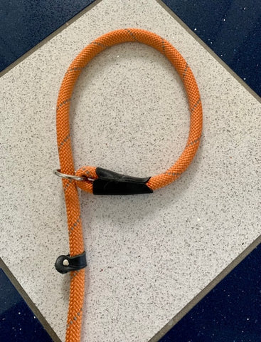 What is a Rope Slip Dog Leash? Heres Everything You Need to Know!