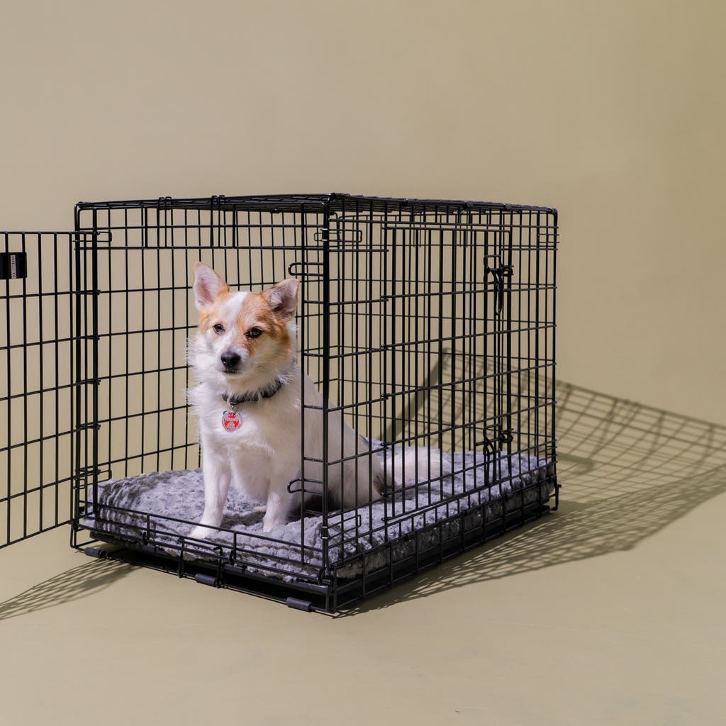 Best Crate for Labrador Retriever: Top Picks for Your Lab