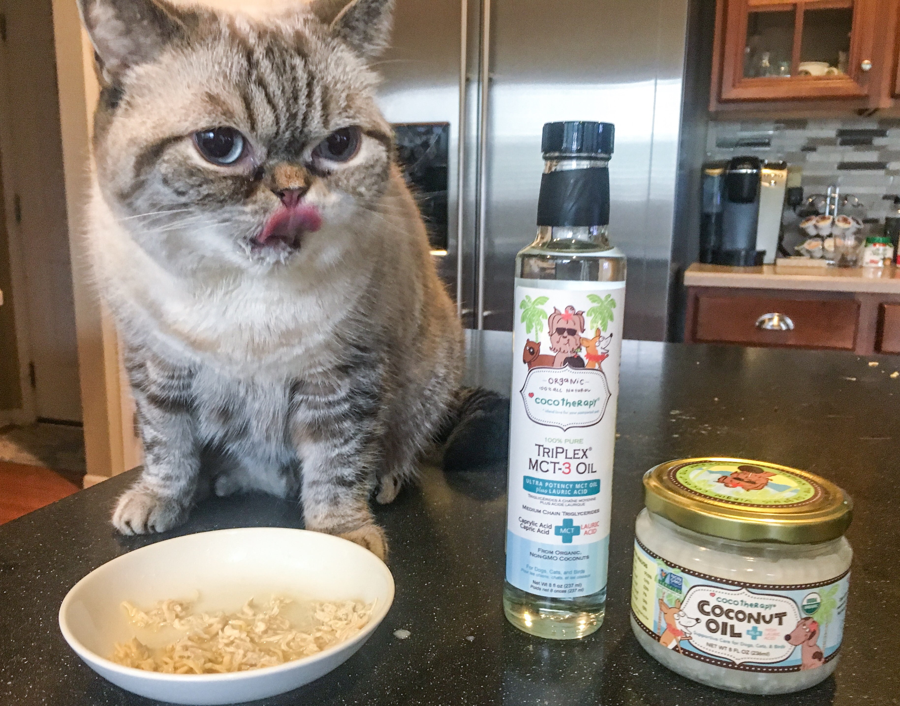 Feeding Your Cat Coconut Oil: Tips and Tricks for Picky Eaters