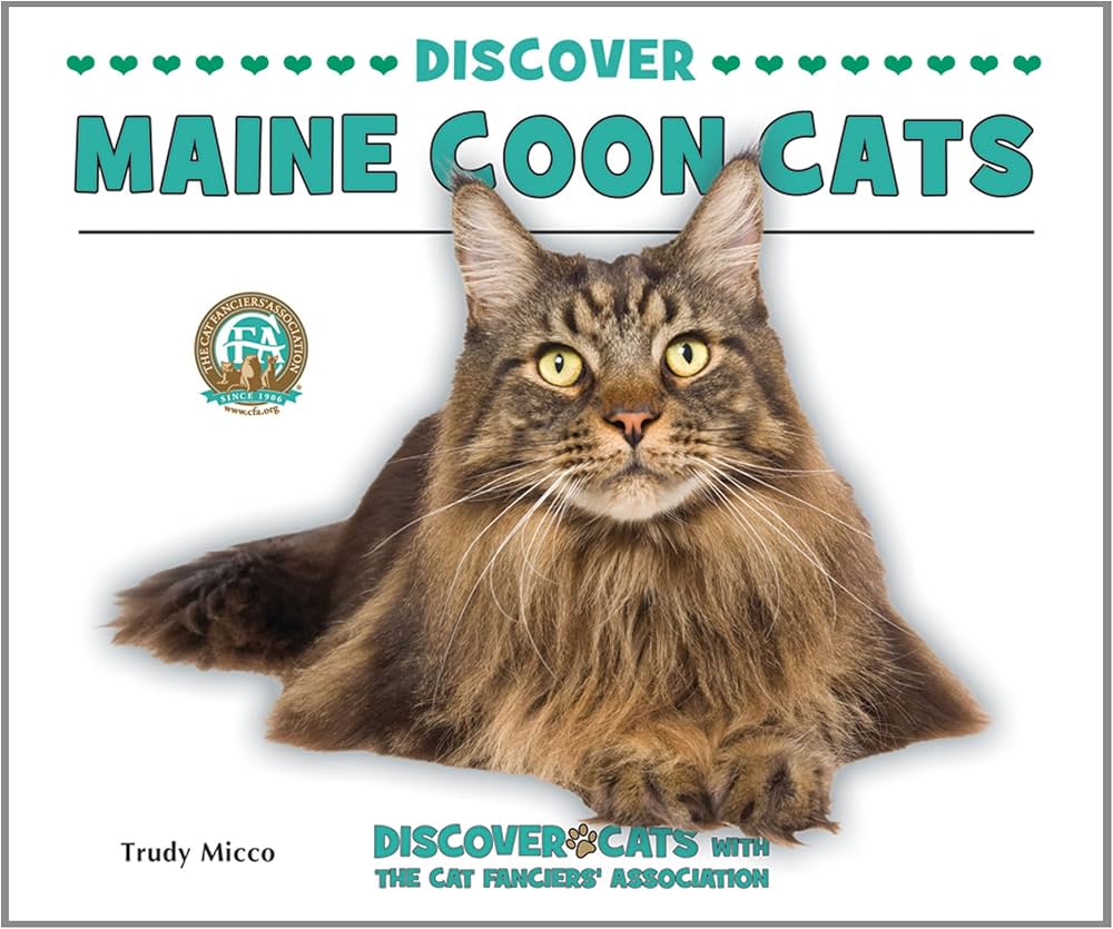 Discover Maine Coon Cats in Minnesota: A Comprehensive Guide