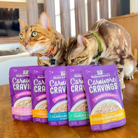 Hydrating Wet Cat Food: Tips for Picky Eaters (Make Mealtime Enjoyable)