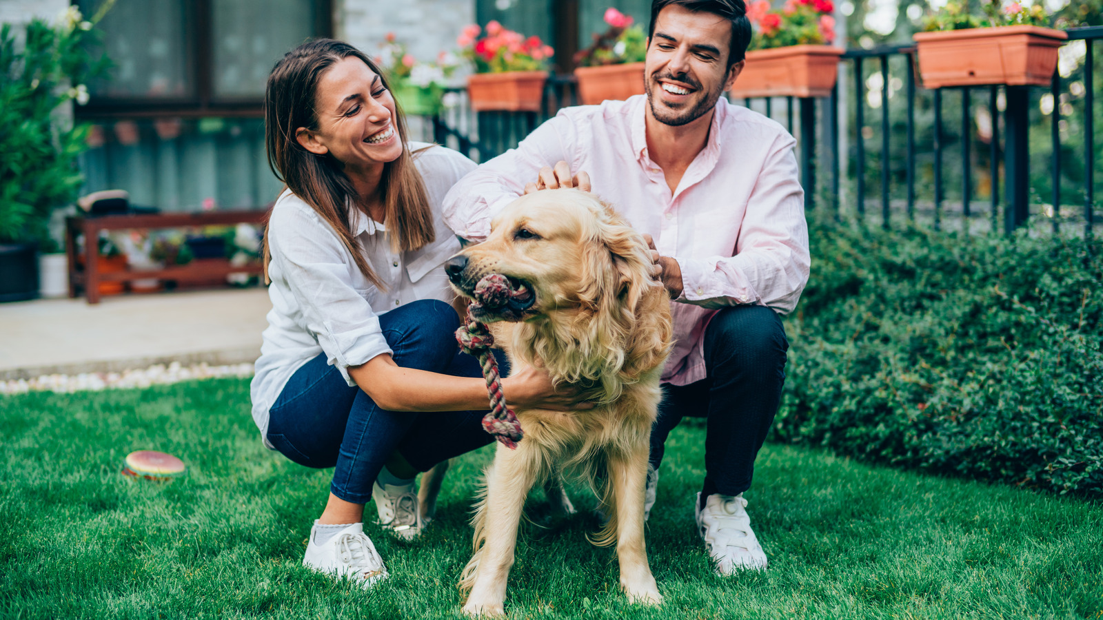 Weed and Feed and Pets: How to Protect Your Furry Friends