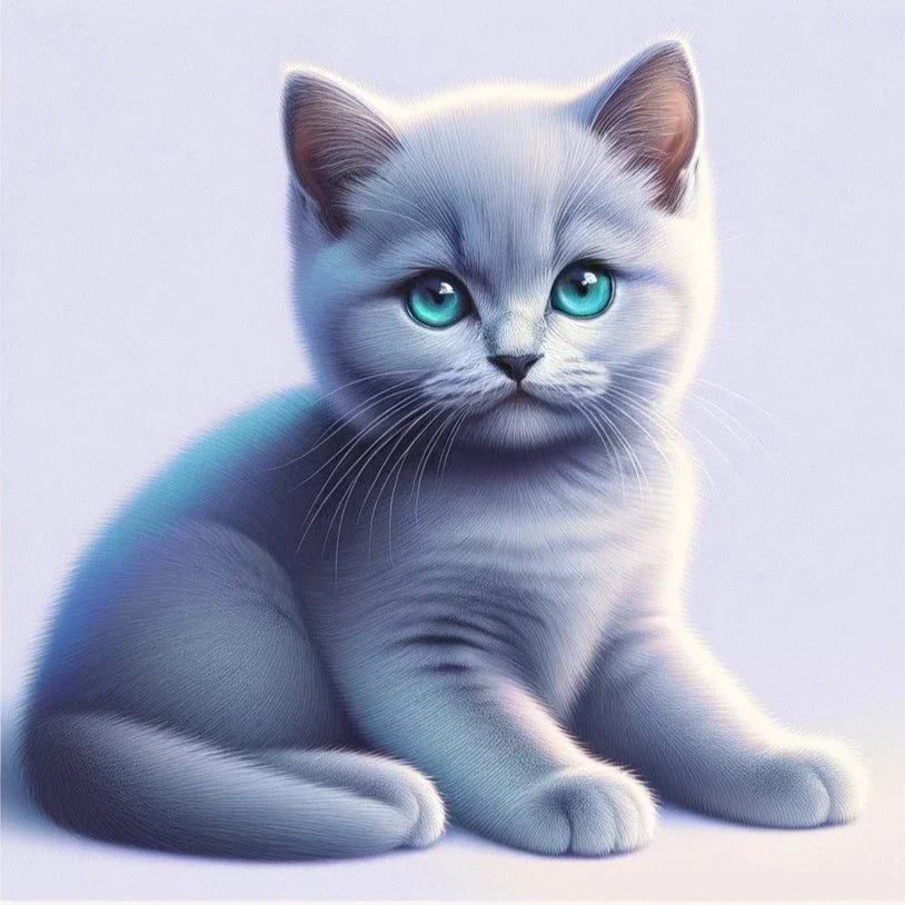 Looking for Russian Blue Cat Breeders in NY? Heres Your Guide