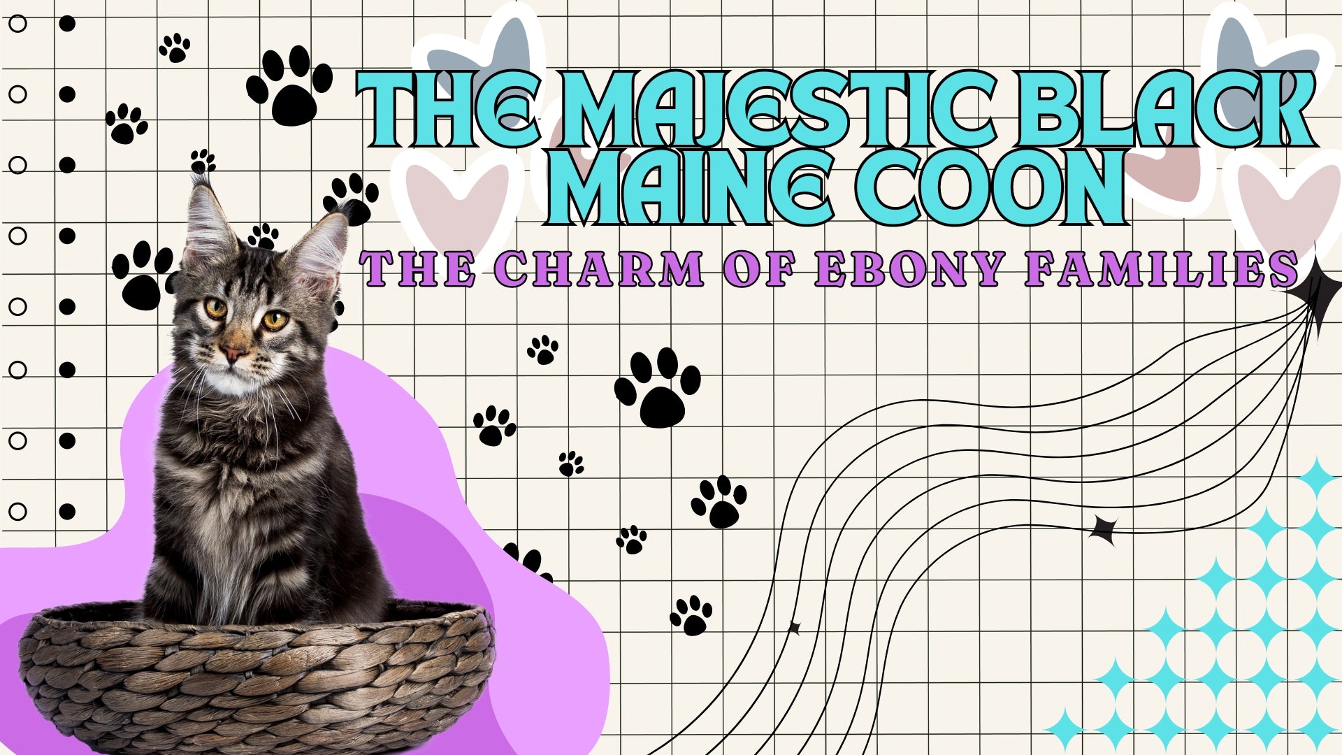 Unveiling the Unique Charm of Blue Smoke Maine Coon Cats