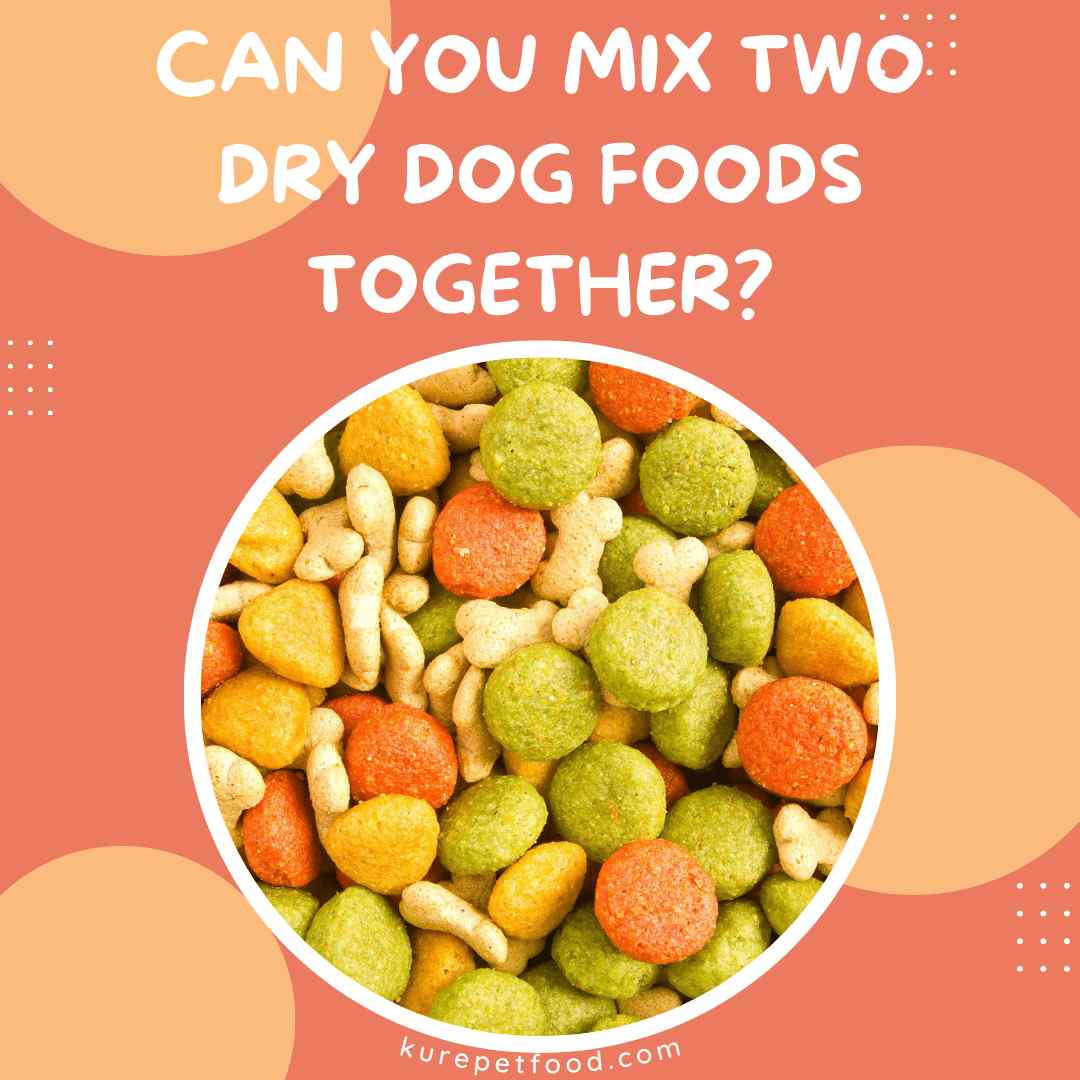 Can I mix 2 different dog foods together? A quick and easy guide for pet owners to understand.