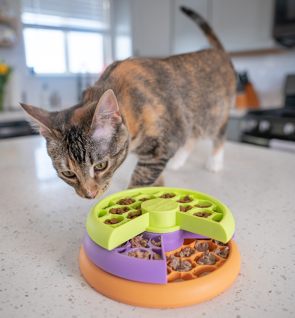 Cat Food Puzzle Wet Food: Fun and Tasty Mealtime for Your Feline