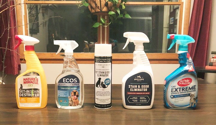 Best Carpet Cleaner to Remove Cat Urine: Top Picks & Reviews