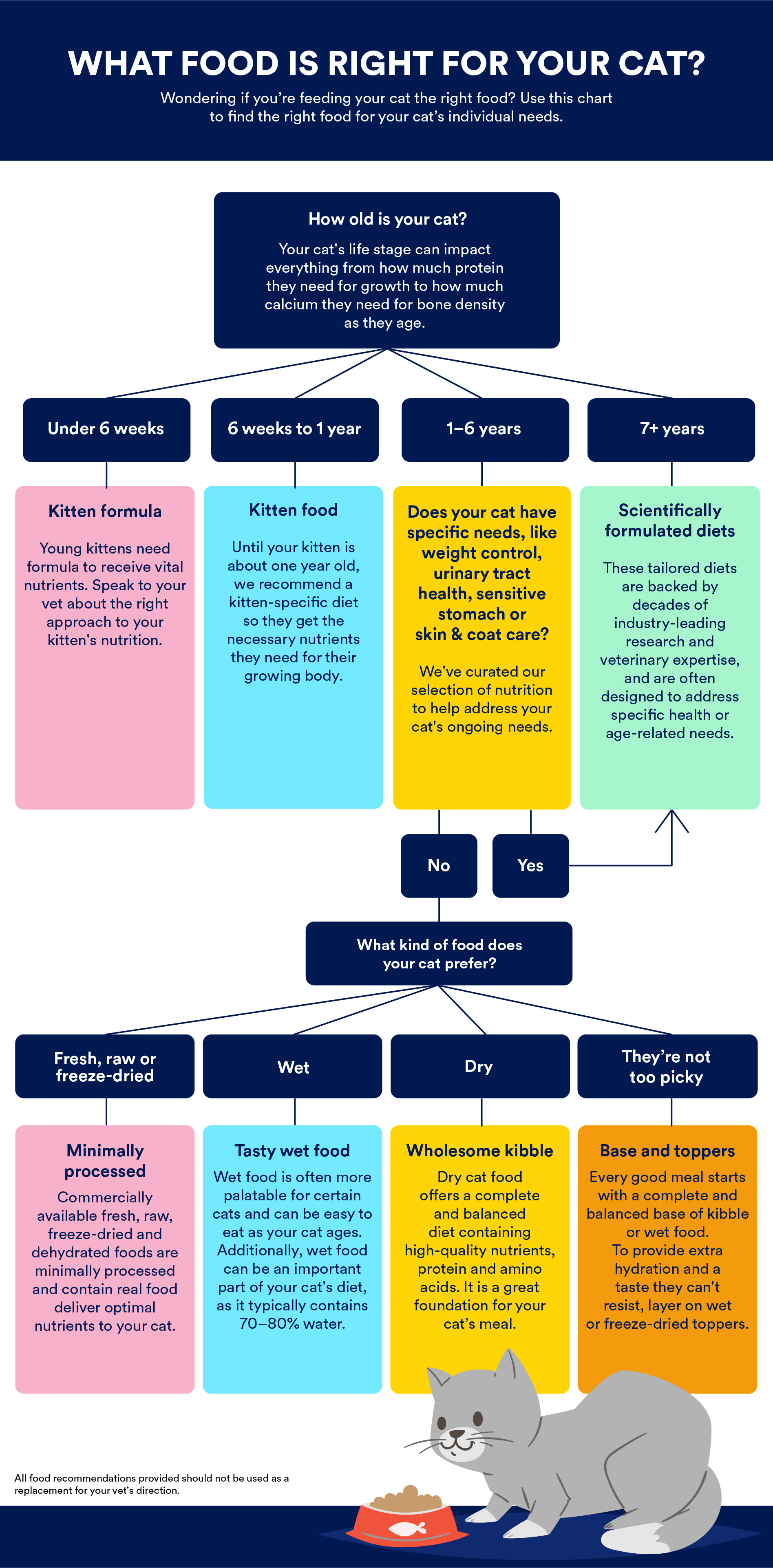 Choosing the Right Low Sodium Wet Cat Food? Heres Your Guide