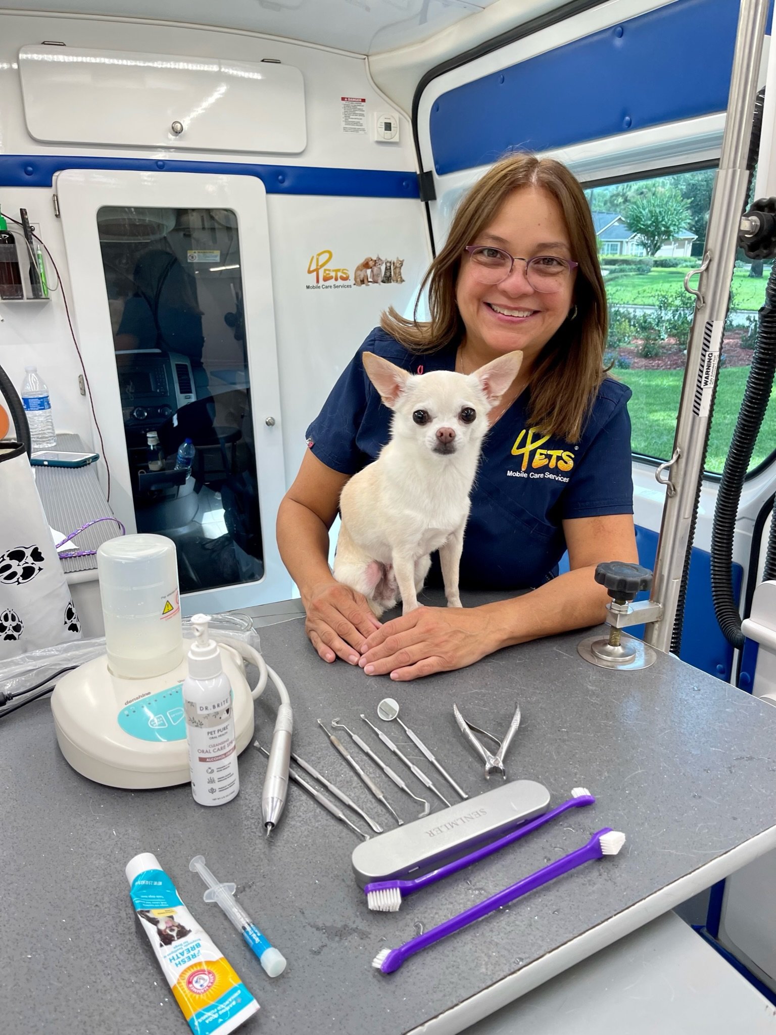 mobile pet teeth cleaning