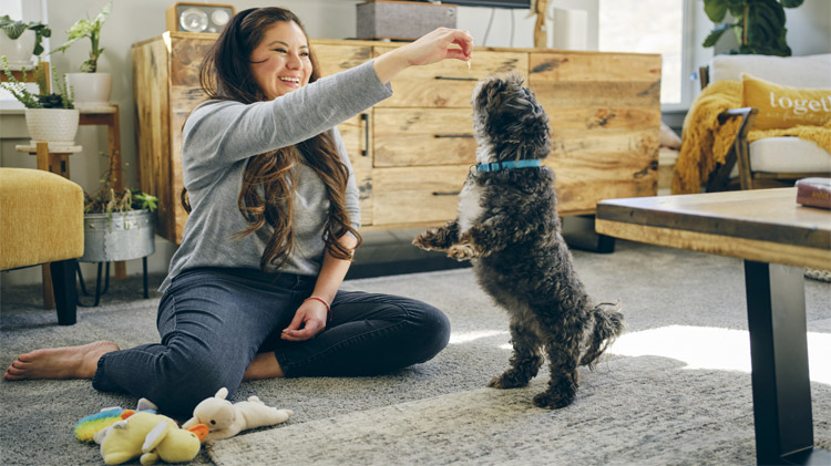 Need Pet Care While on Vacation? Here's What You Should Know