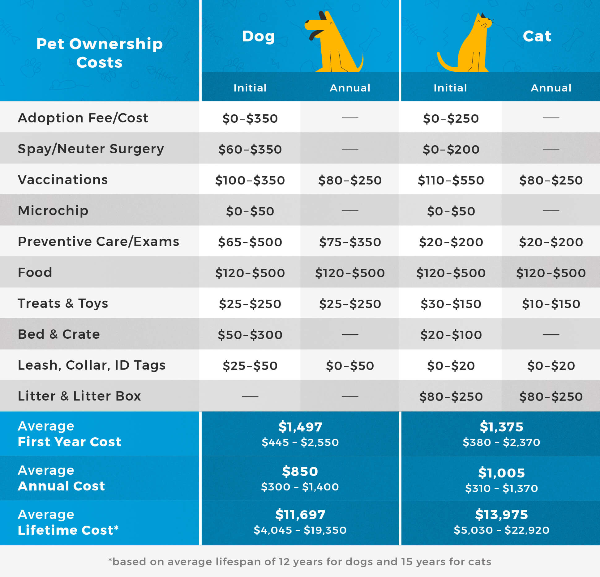 Paws Pet Care: Understanding the Average Monthly Cost for Pet Owners