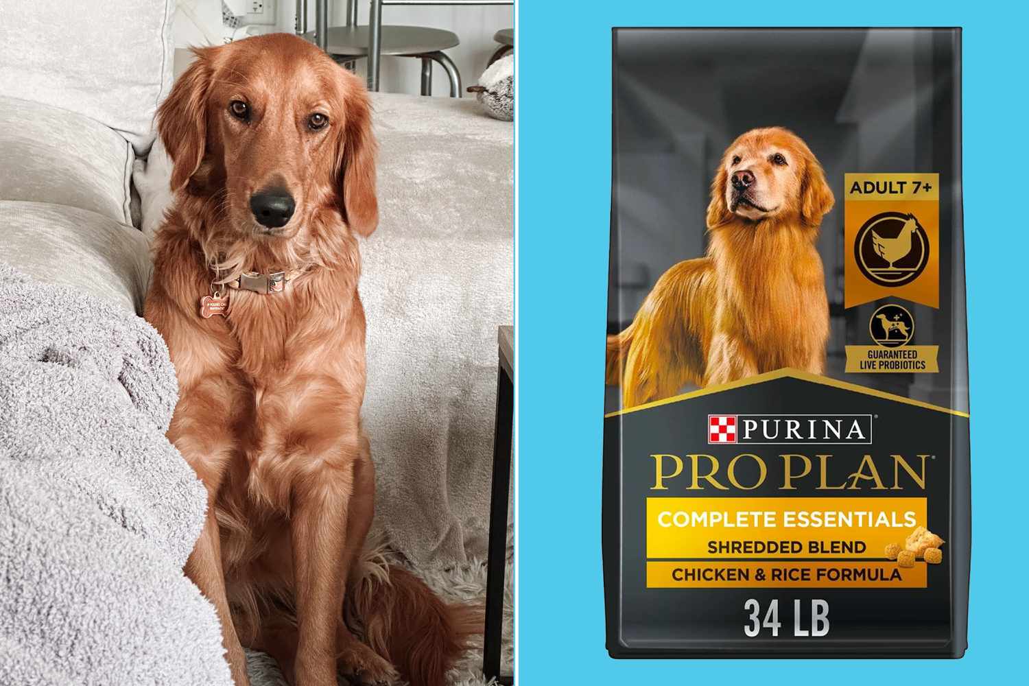 Top 5 most popular brand of pet food: Which one is best?