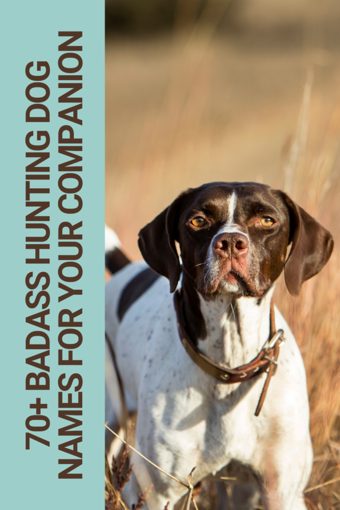 Best Male Dog Names for Hunting Dogs: Find the Perfect Fit