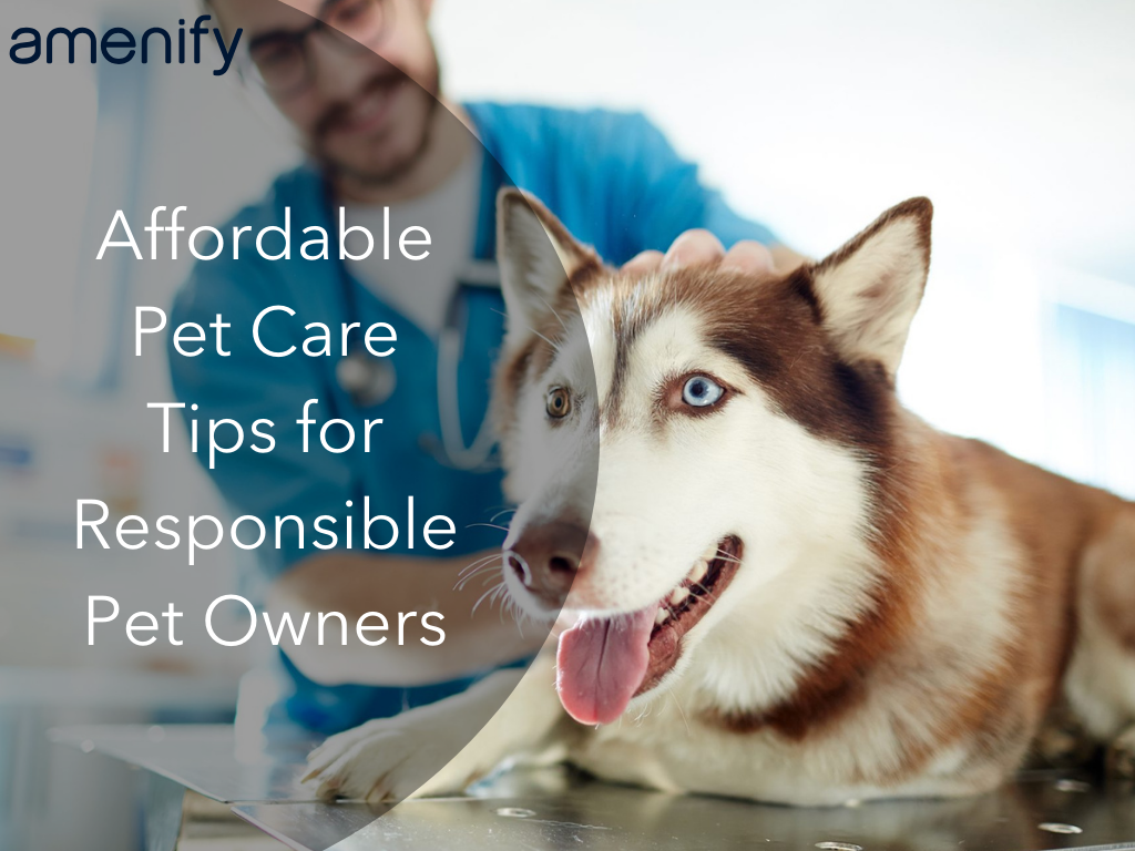 Tips and Tricks: Creating a Budget-Friendly Pet Care Routine