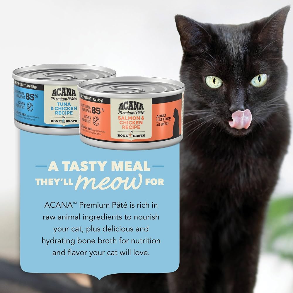 Raw Canned Cat Food: Spoil Your Cat with Delicious Nutrition