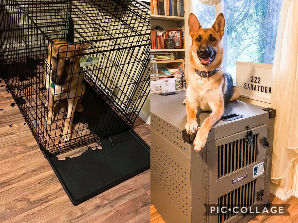 What size kennel for a german shepherd is best for your dog find out here