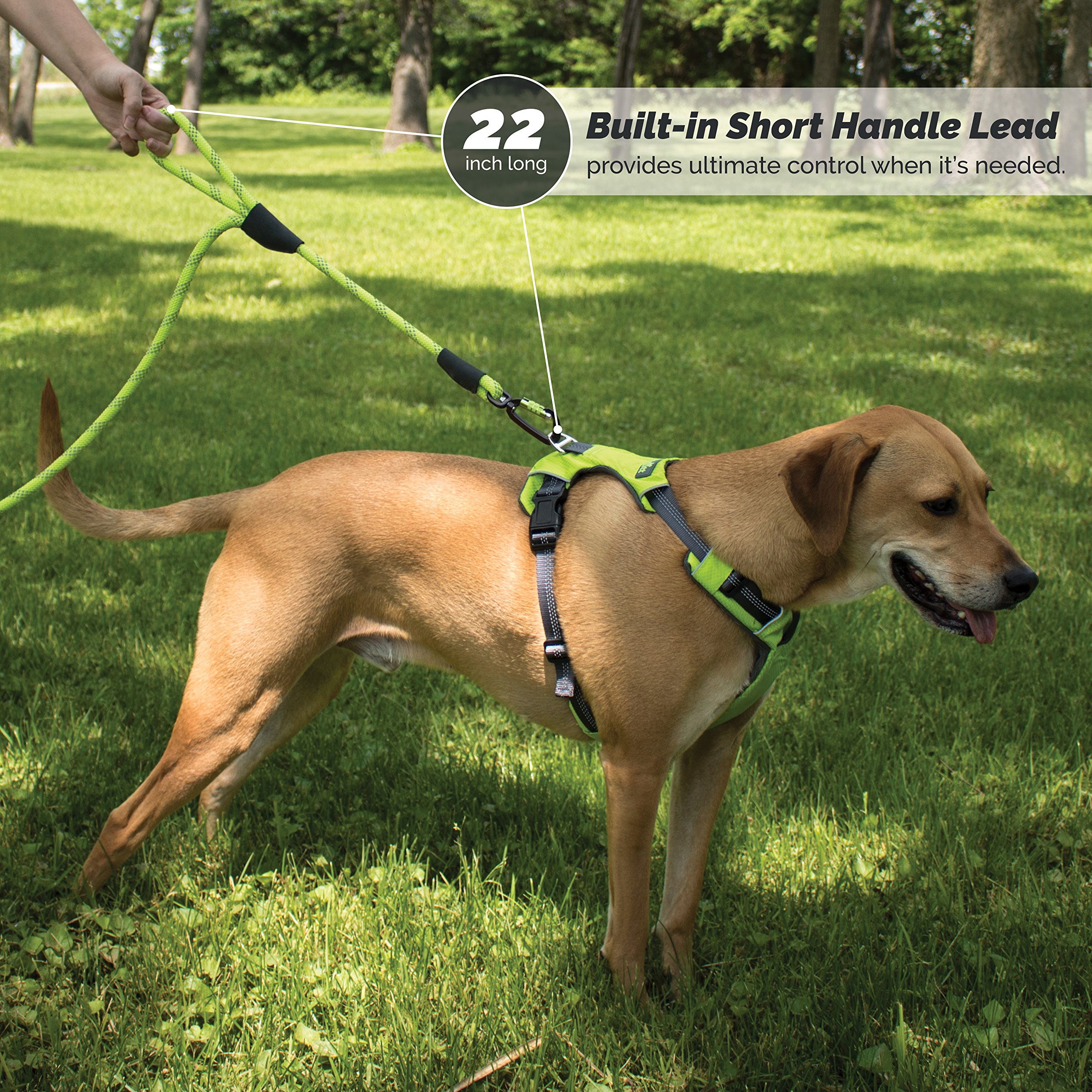 Best Dog Rope Leashes on the Market Right Now! Durable Options That Will Last for Years.