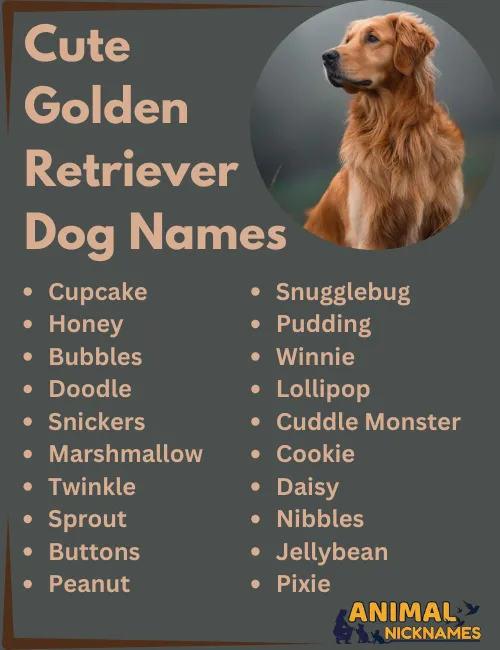 Looking for Good Names for Golden Retrievers? Check Out These Ideas