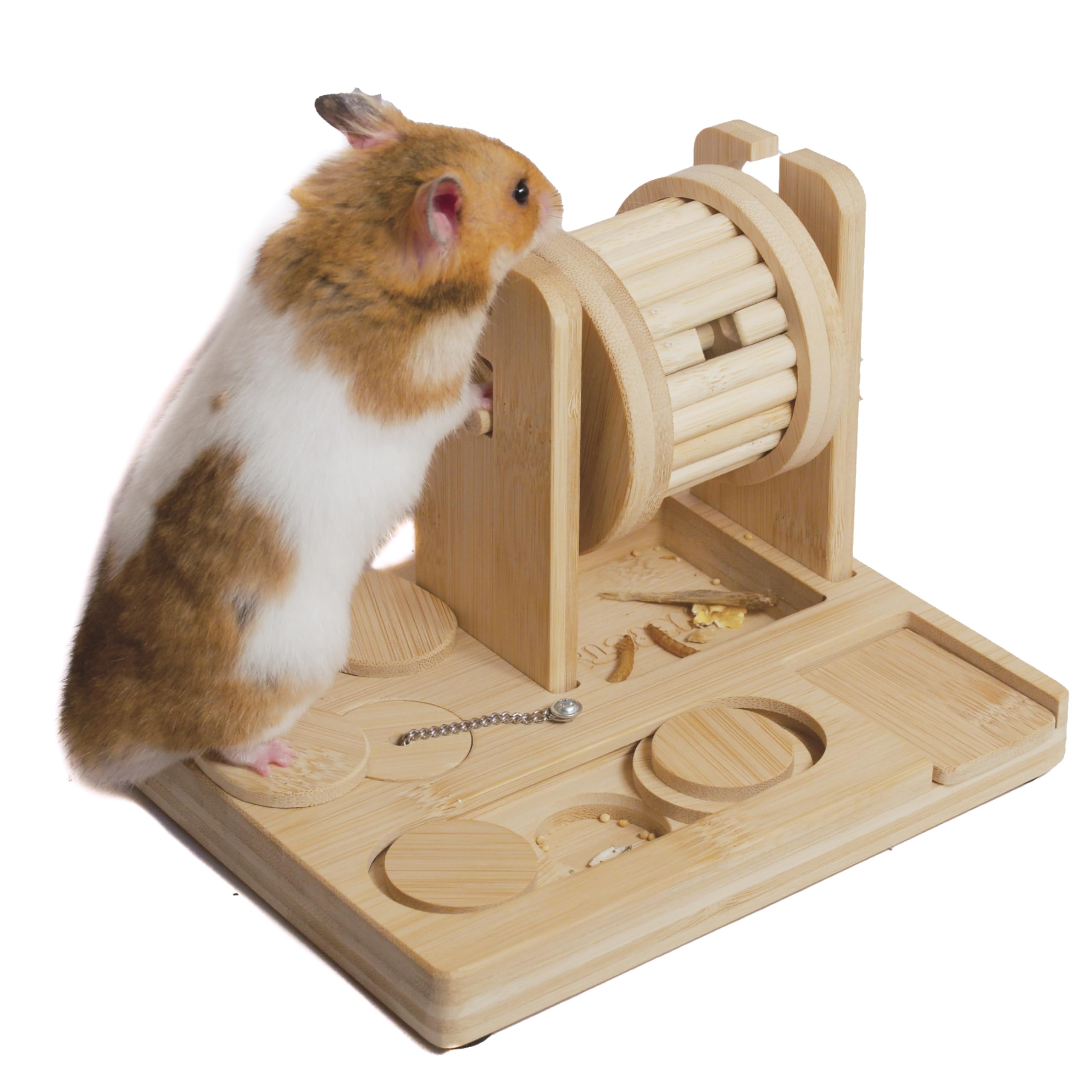 Must-have rat pet toys for happy rats(enrichment and fun combined)