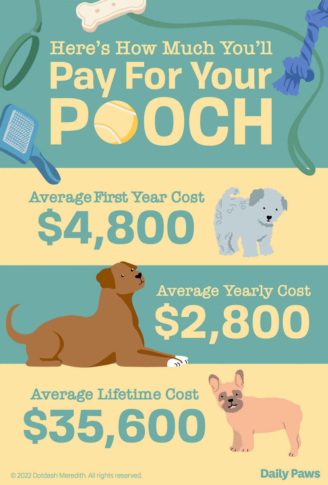 Paws Pet Care: Understanding the Average Monthly Cost for Pet Owners