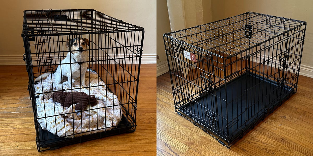 Best Dog Crates for Labrador Retriever: Top Picks for Your Furry Friend