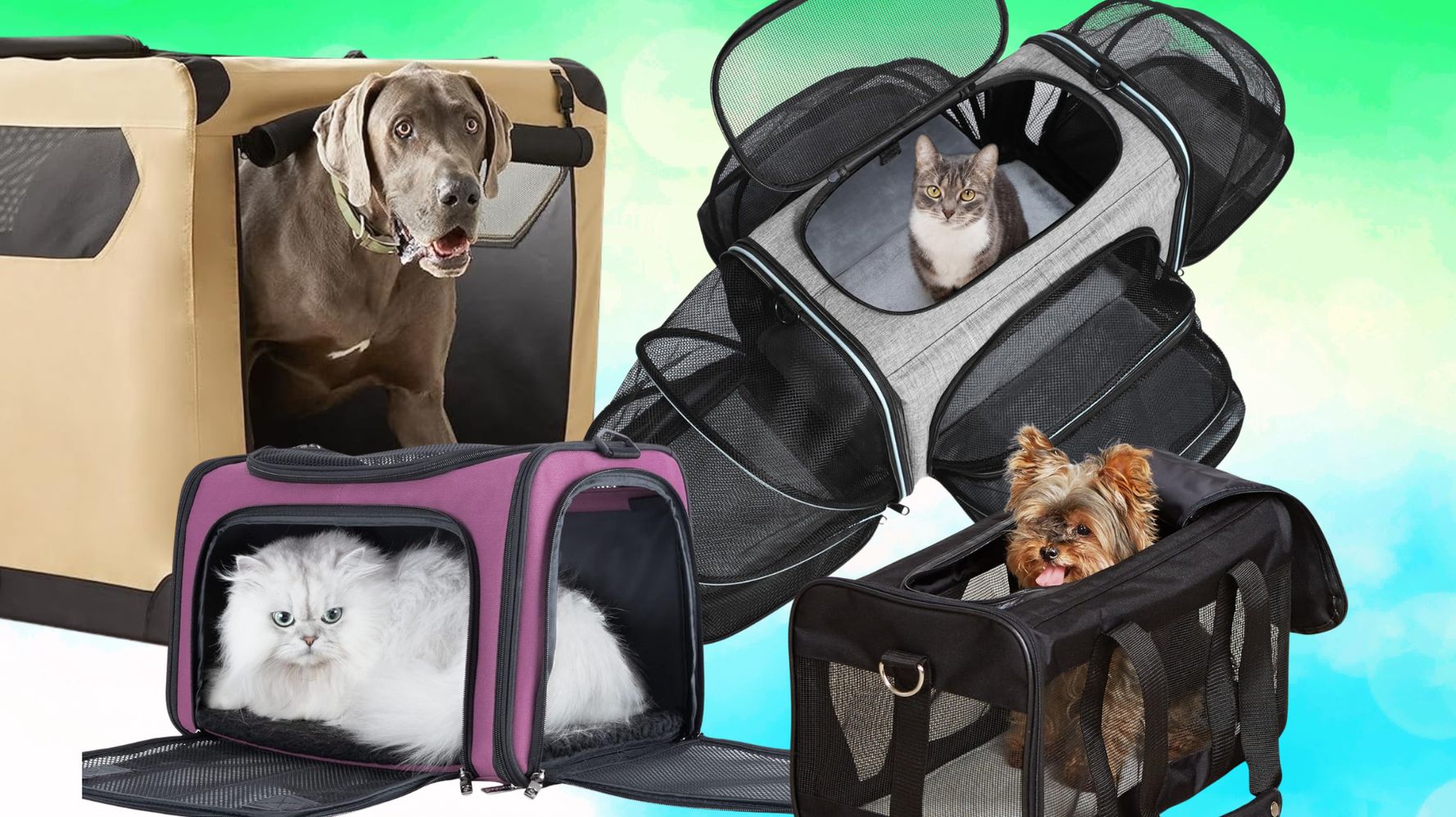 Top-Rated Pet Carrier Toys for Comfortable and Entertaining Trips