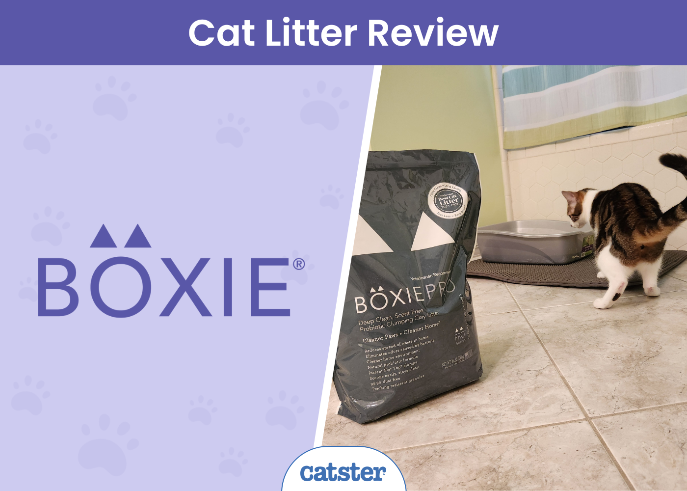 Boxie Cat Litter Review: Is It the Best Clay Litter Choice?