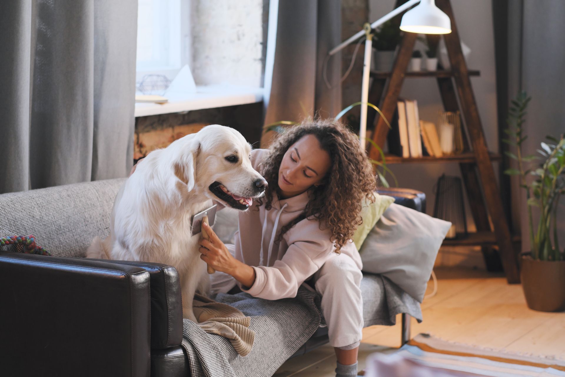 Professional House Cleaning After Pets: Keep Your Home Fresh!