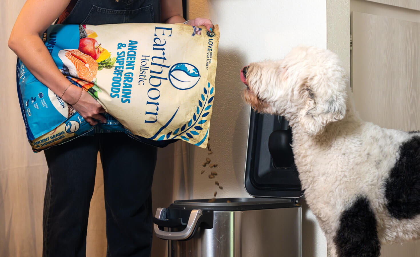 Plastic Pet Food Lid: How to Choose the Best One for Your Furry Friend?