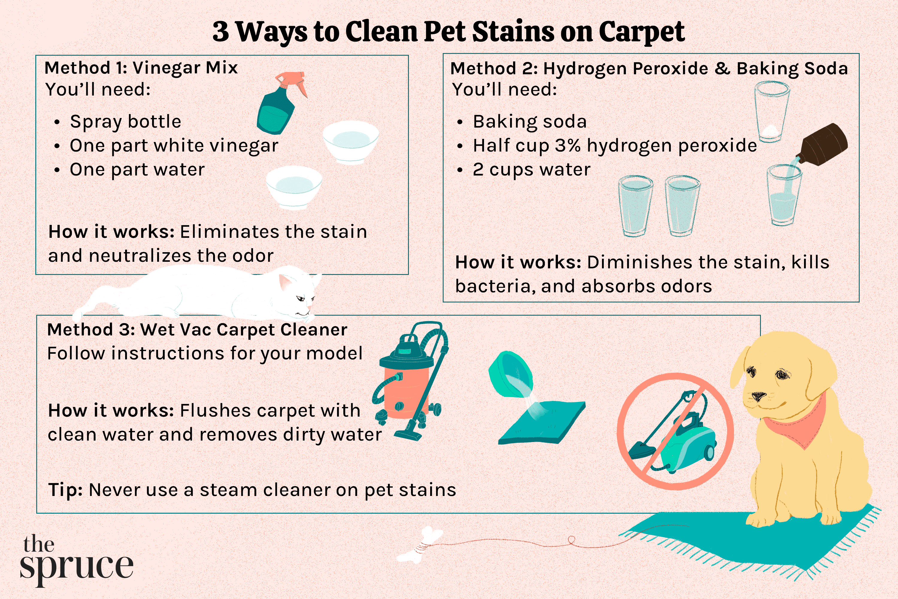 Top Homemade Dog Urine Carpet Cleaner Recipes