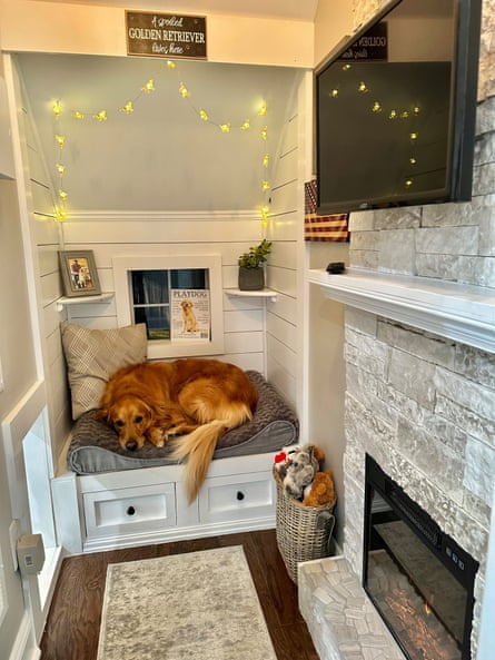 Dog Kennel Built Into Wall: Make Your Dog a Special Nook