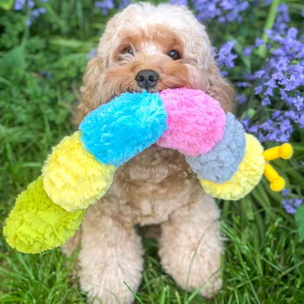 Best Patchwork Pet Dog Toys for Playful Pups