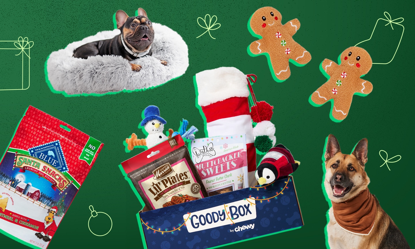 Find the Perfect Pet Toys for Christmas: Shop Our Holiday Guide