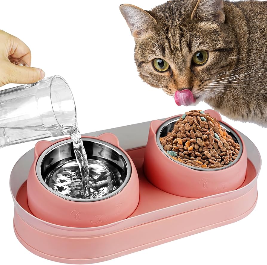 Elevated Cat Food Bowl: Why Your Cat Needs One?
