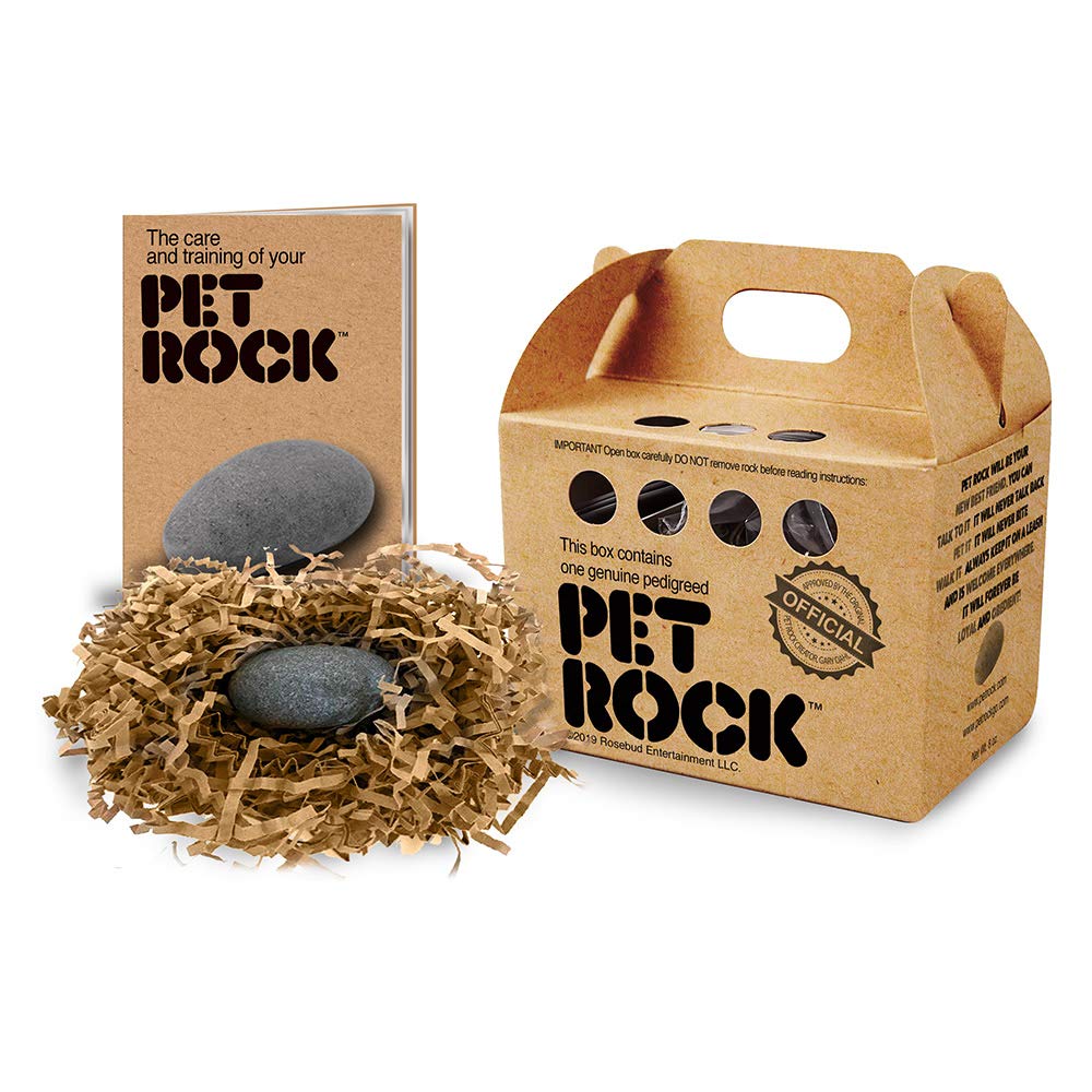 Pet rock supplies: what you need for your new pet rock (Get all the essentials you need)