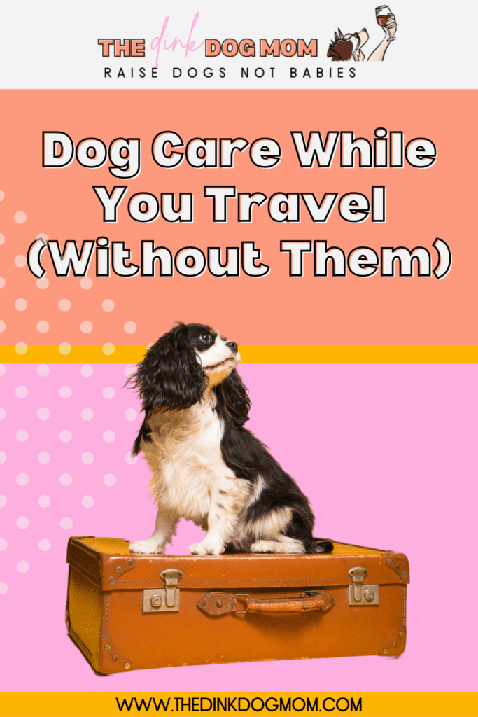 Need Pet Care While on Vacation? Here's What You Should Know